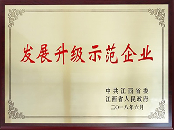 发展升级示范企业201806